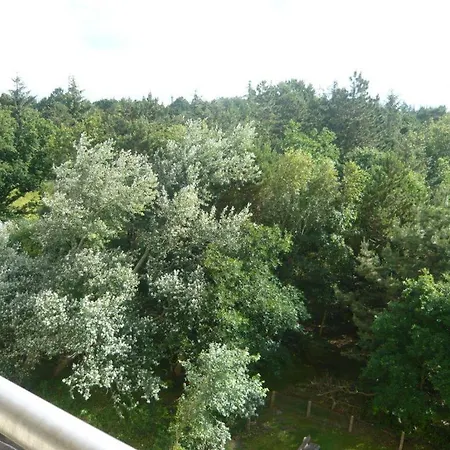 View * 장크트 피터 오르딩