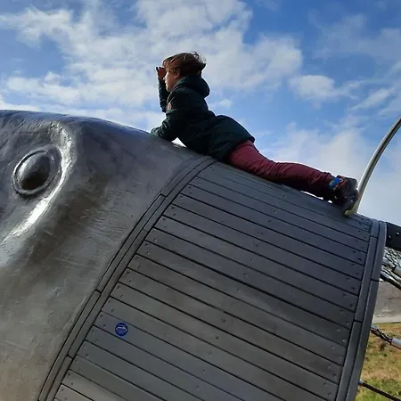 View 아파트 장크트 피터 오르딩