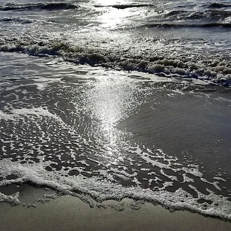 View * Sankt Peter-Ording